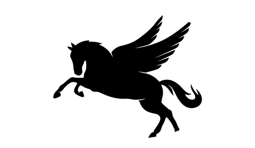 SPORTKRAFT SPORTSWEAR