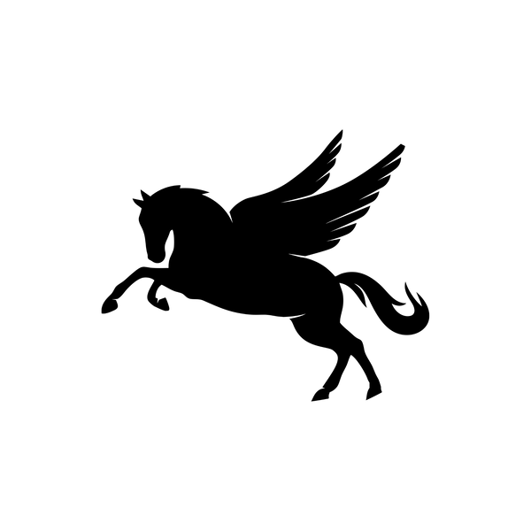 SPORTKRAFT CUSTOM
